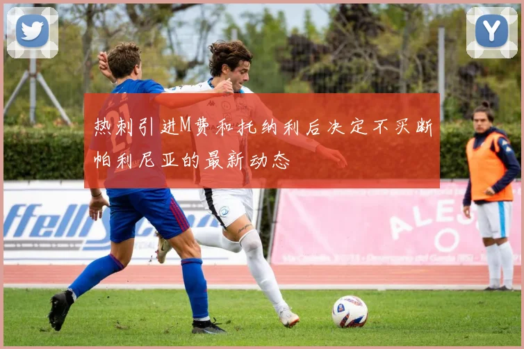 热刺引进M费和托纳利后决定不买断帕利尼亚的最新动态